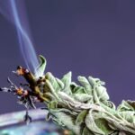 Proteção contra energias negativas com cristais e rituais de purificação